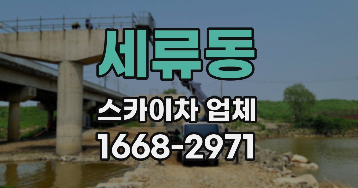 세류동 스카이차 업체