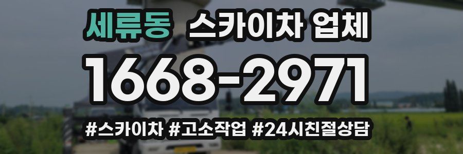 세류동 스카이차 업체