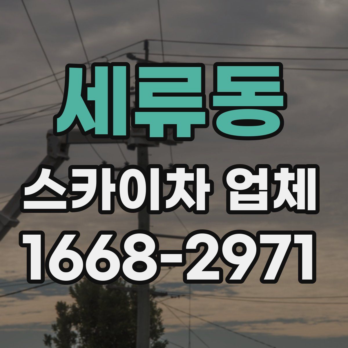 세류동 스카이차 업체