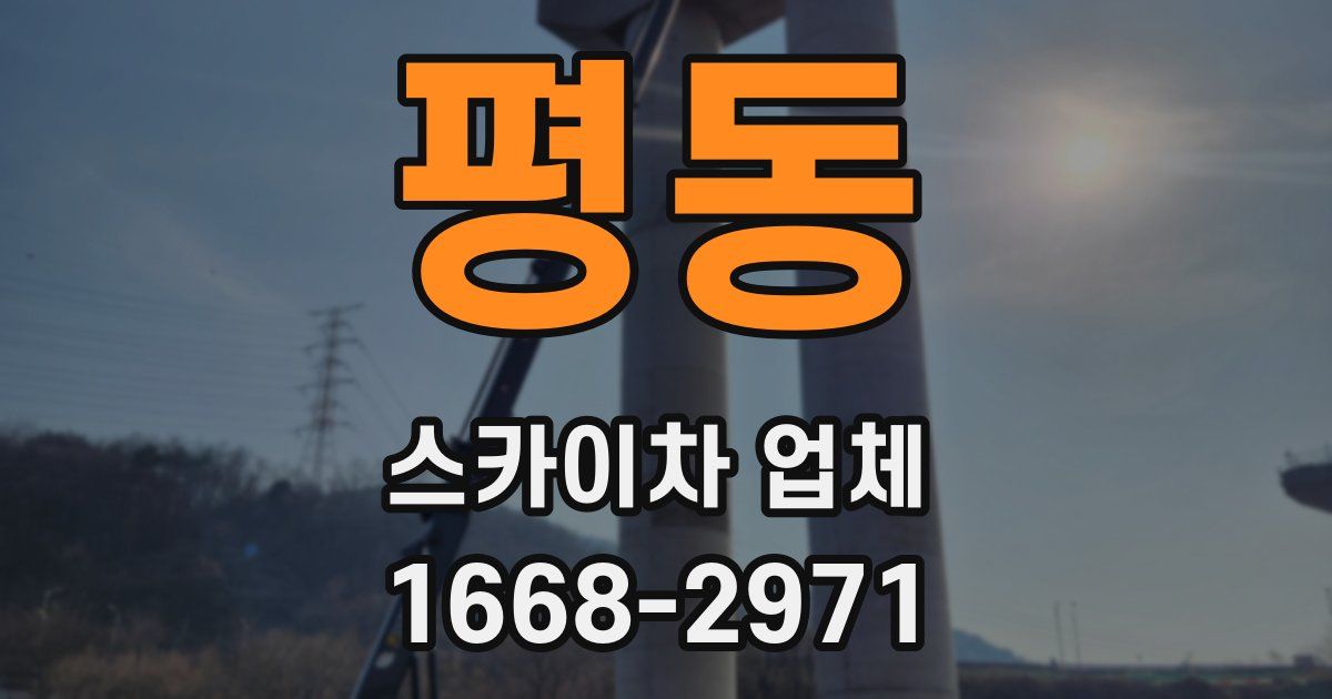 평동 스카이차 업체