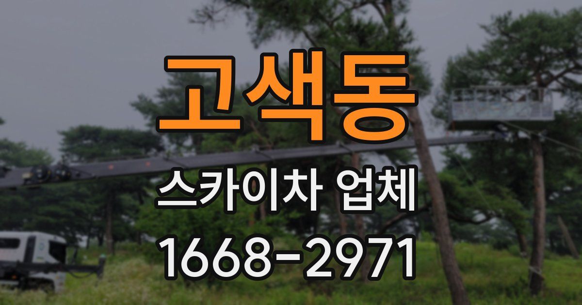 고색동 스카이차 업체