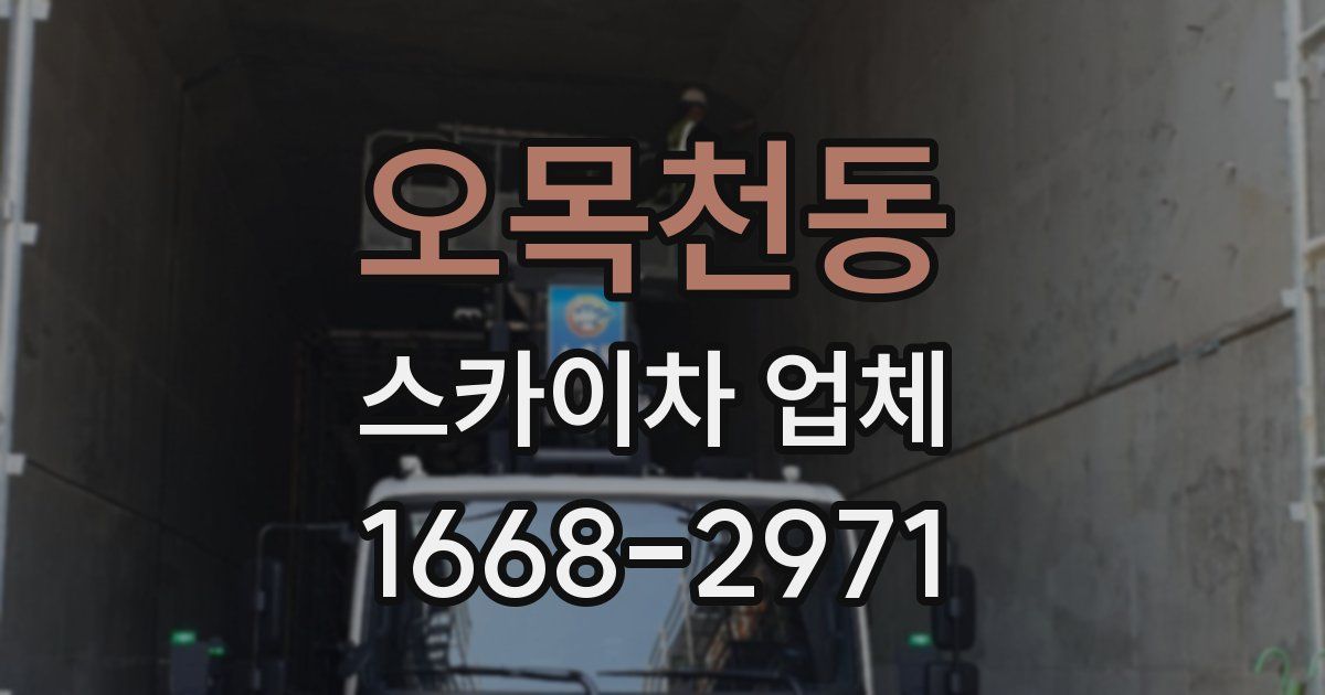 오목천동 스카이차 업체