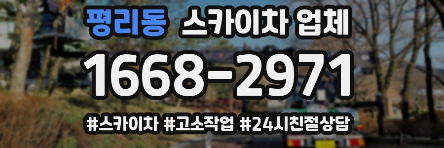평리동 스카이차 업체