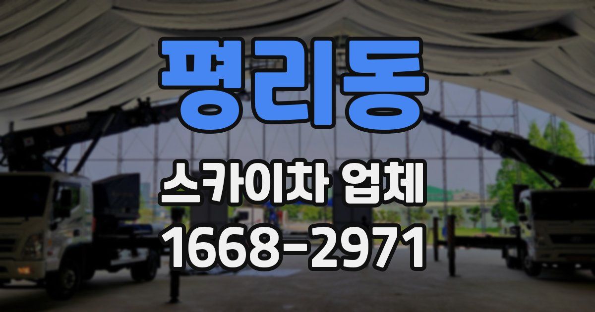 평리동 스카이차 업체