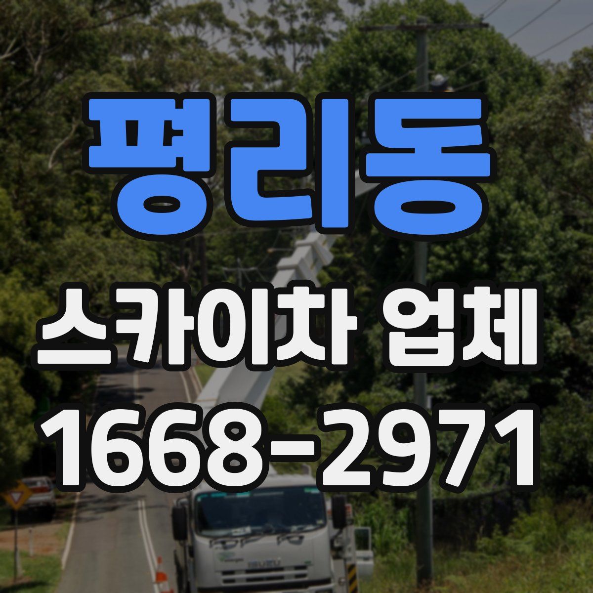 평리동 스카이차 업체