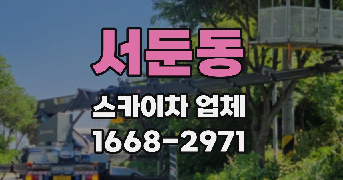 서둔동 스카이차 업체