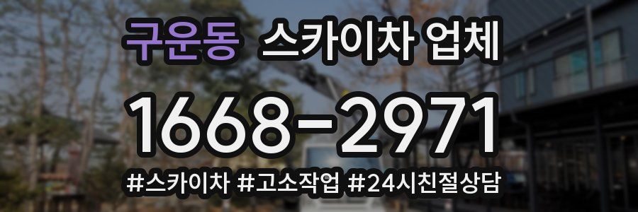 구운동 스카이차 업체