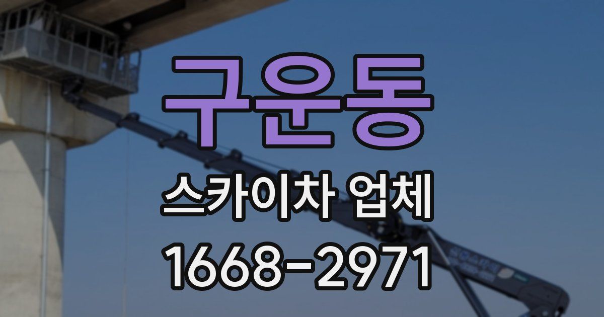 구운동 스카이차 업체