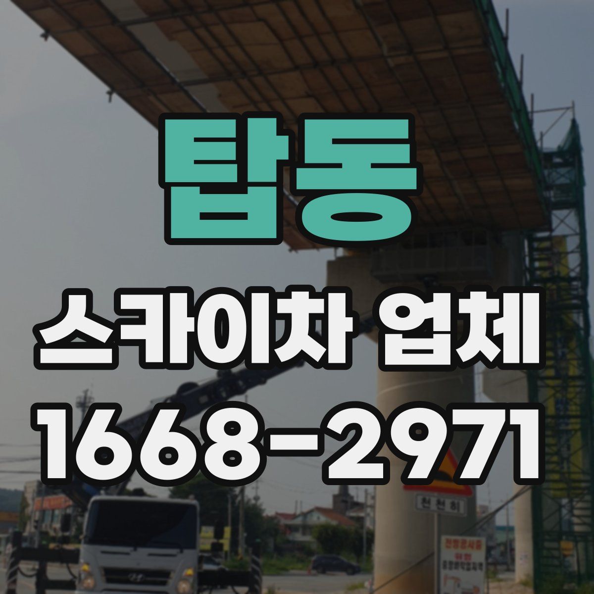 탑동 스카이차 업체