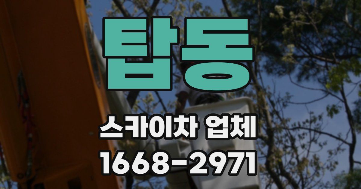 탑동 스카이차 업체