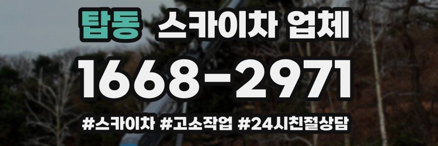 탑동 스카이차 업체