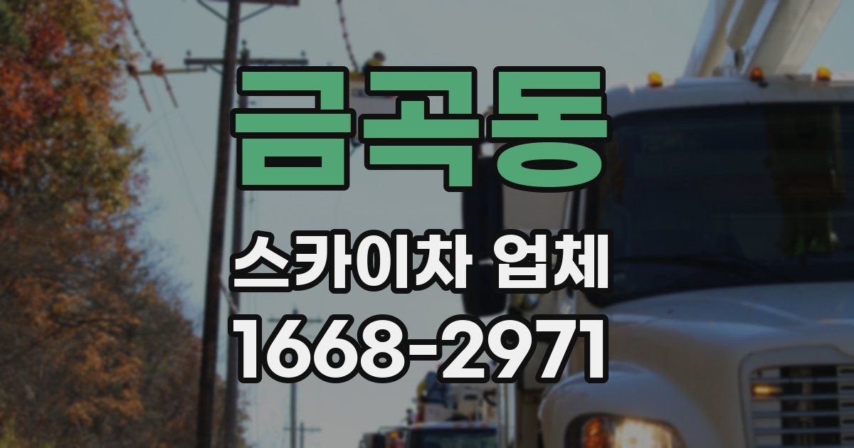 금곡동 스카이차 업체