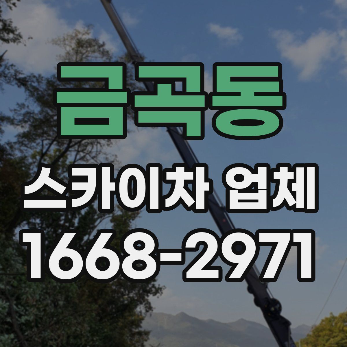 금곡동 스카이차 업체