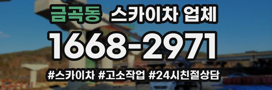 금곡동 스카이차 업체