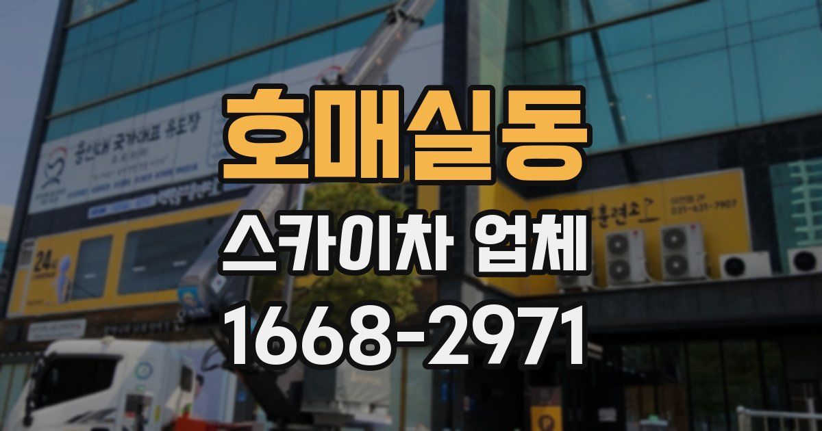 호매실동 스카이차 업체