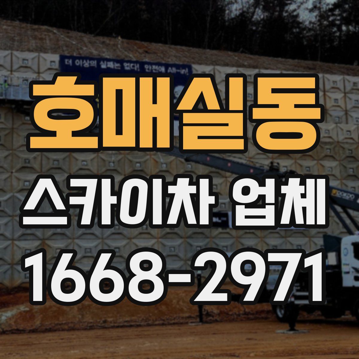 호매실동 스카이차 업체