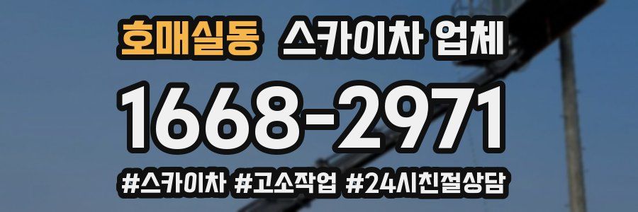 호매실동 스카이차 업체