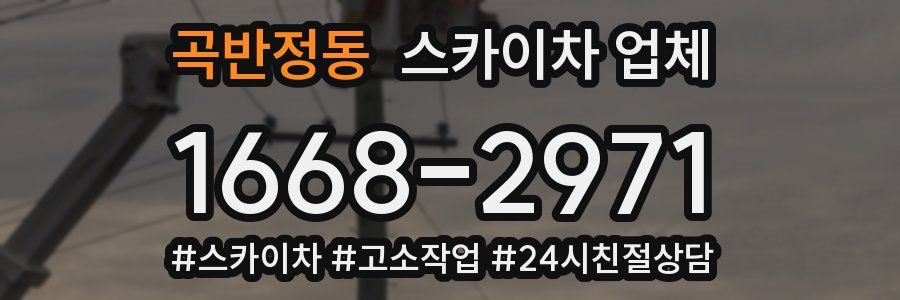 곡반정동 스카이차 업체