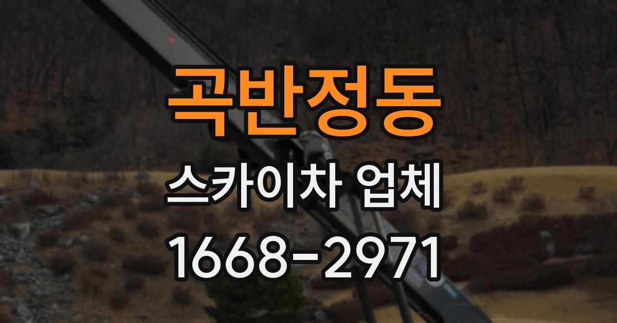 곡반정동 스카이차 업체
