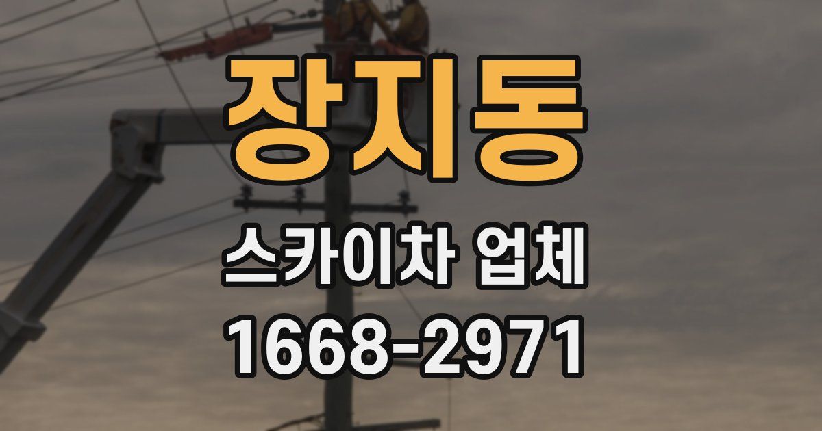 장지동 스카이차 업체