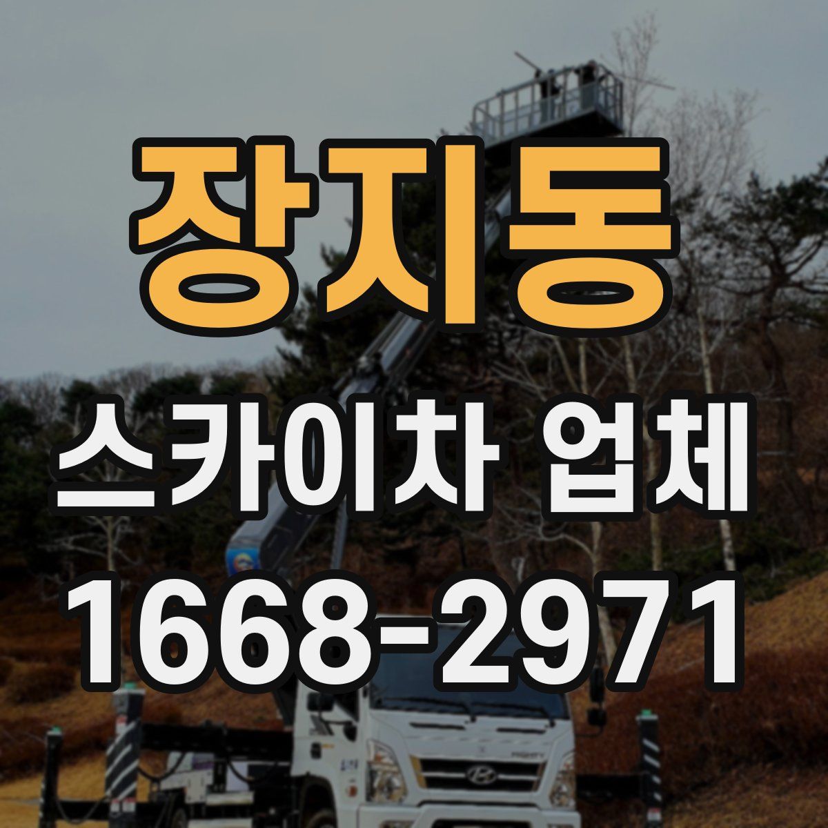 장지동 스카이차 업체