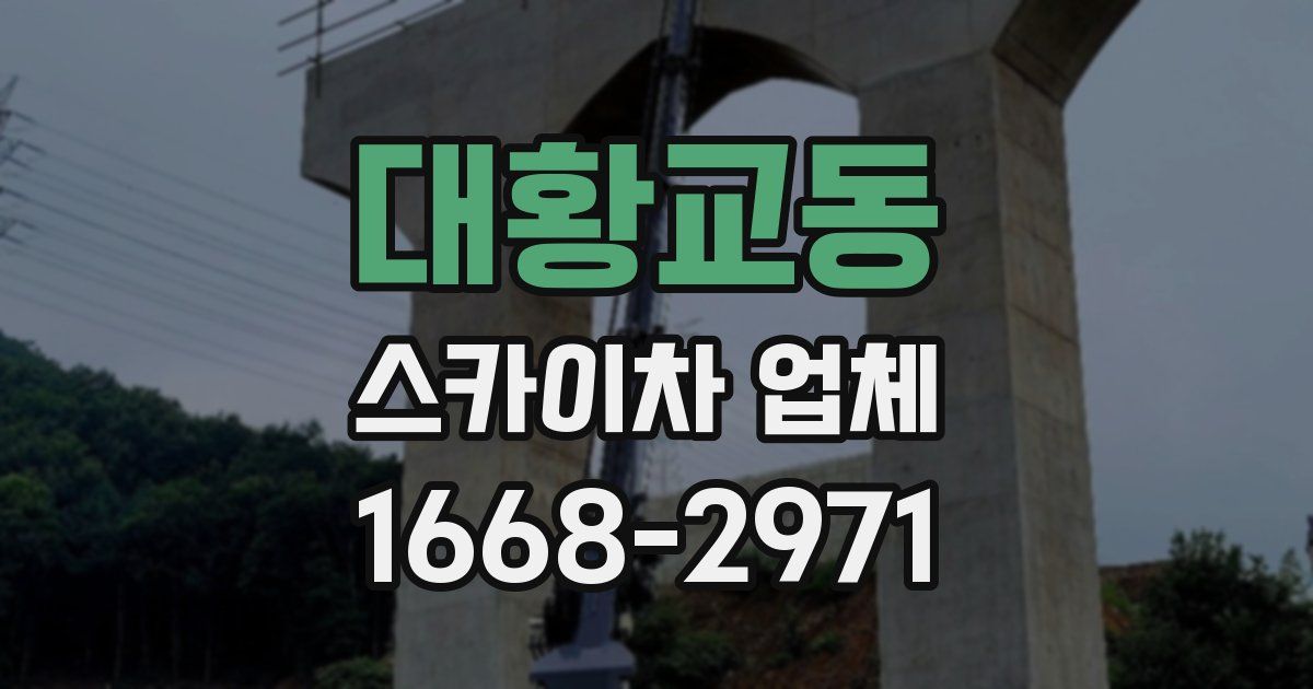 대황교동 스카이차 업체