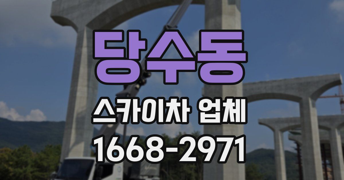당수동 스카이차 업체