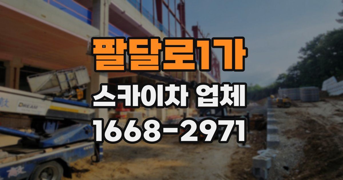 팔달로1가 스카이차 업체