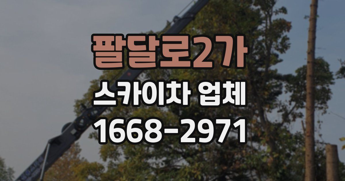 팔달로2가 스카이차 업체