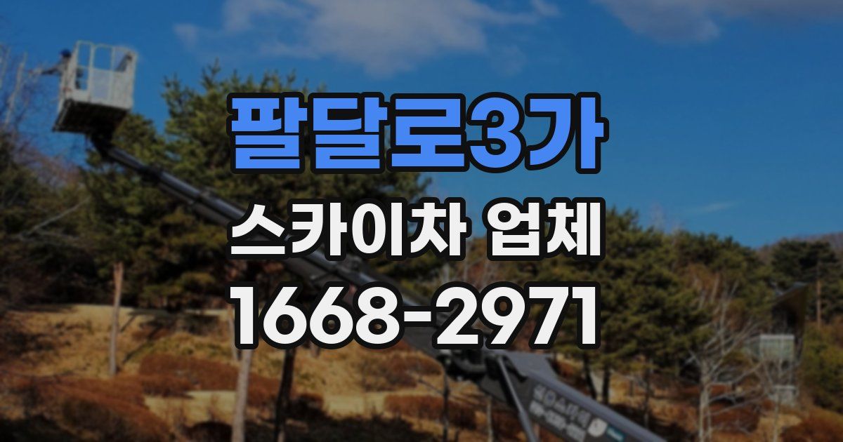 팔달로3가 스카이차 업체