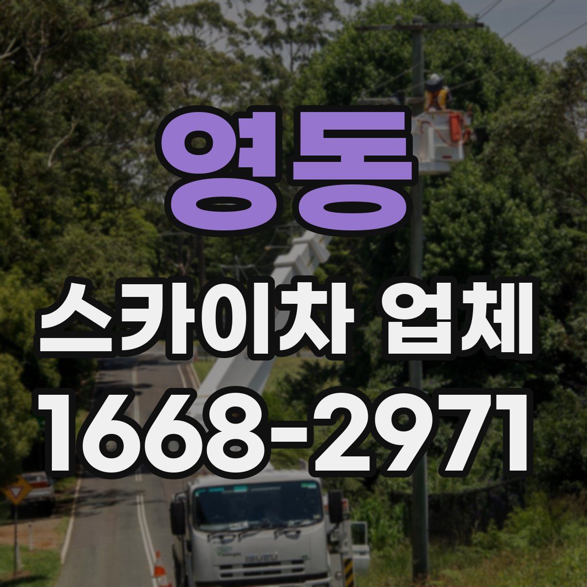 영동 스카이차 업체