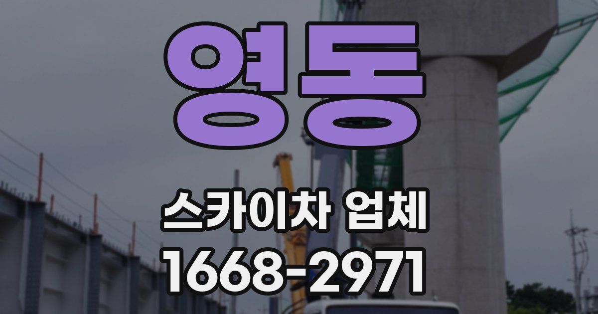 영동 스카이차 업체
