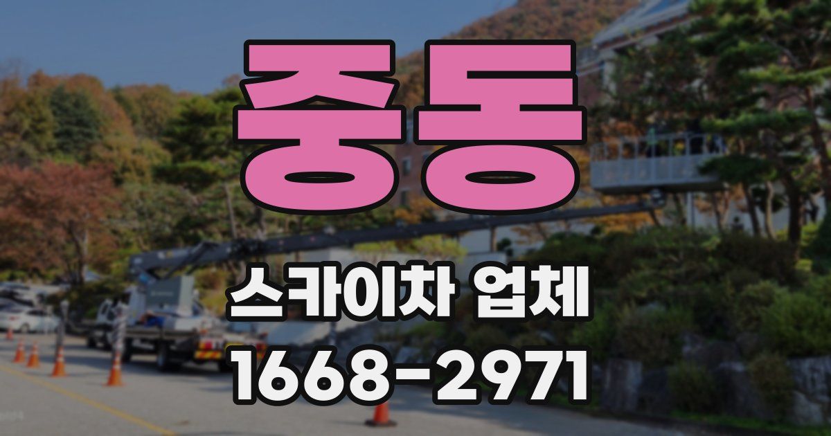 중동 스카이차 업체
