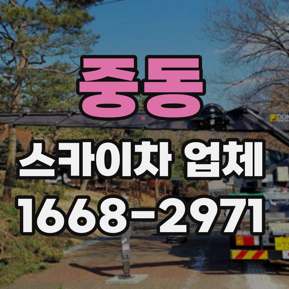 중동 스카이차 업체