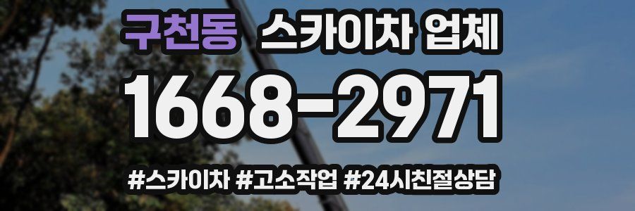 구천동 스카이차 업체