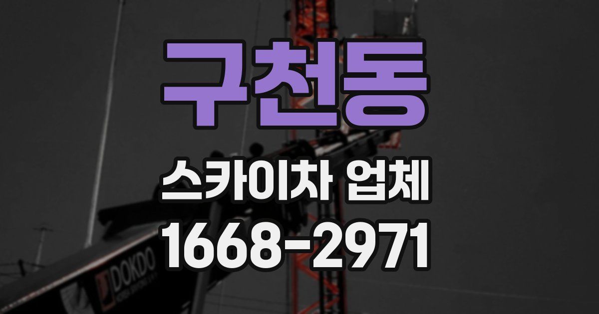 구천동 스카이차 업체