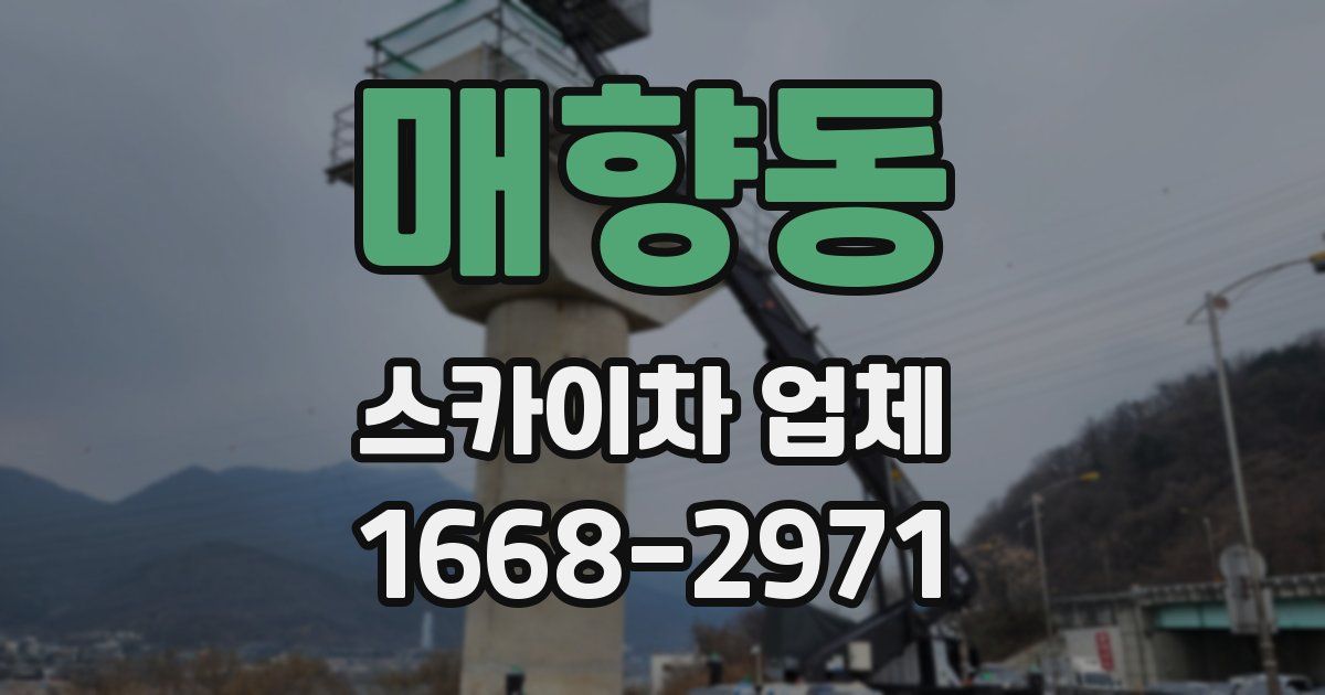 매향동 스카이차 업체