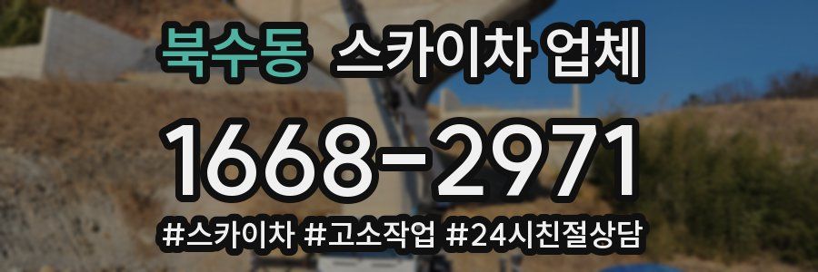 북수동 스카이차 업체