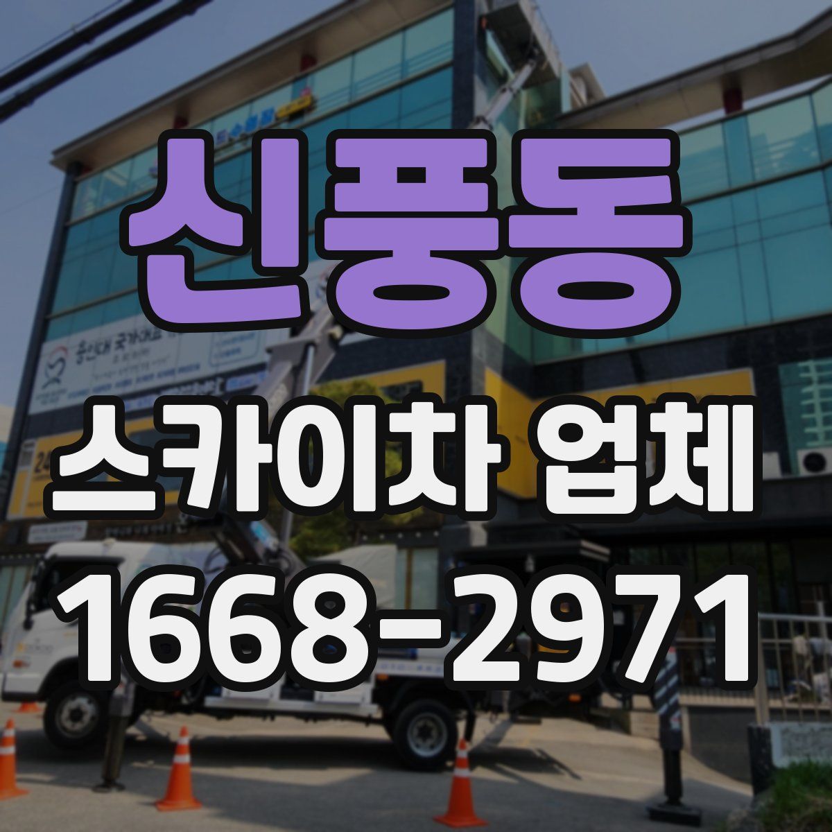 신풍동 스카이차 업체
