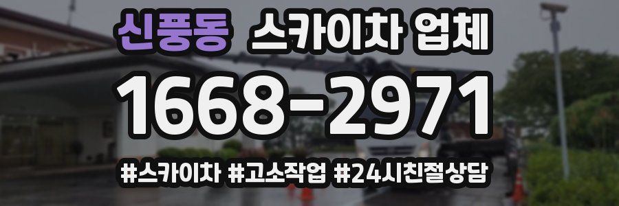 신풍동 스카이차 업체