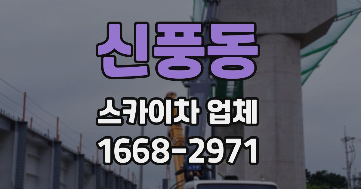 신풍동 스카이차 업체