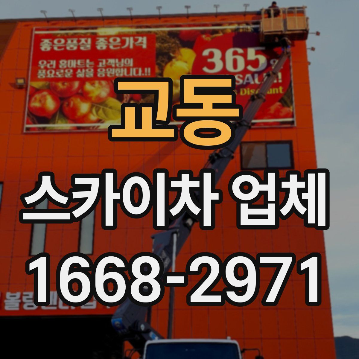 교동 스카이차 업체