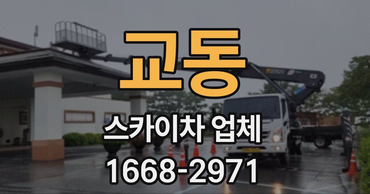 교동 스카이차 업체