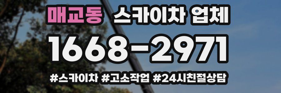 매교동 스카이차 업체