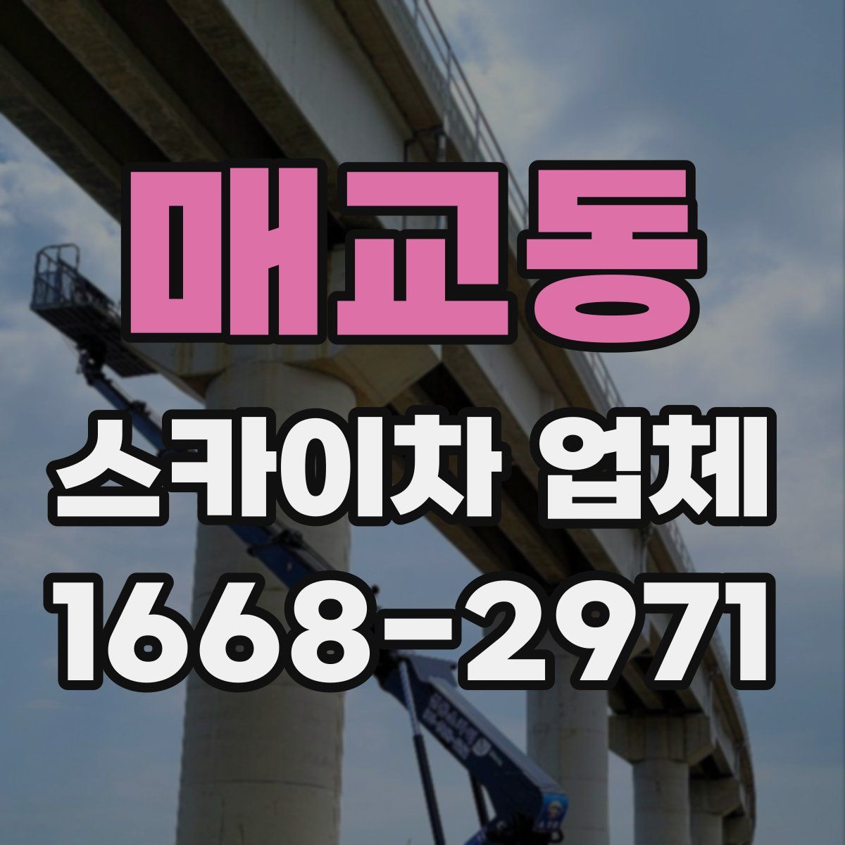 매교동 스카이차 업체