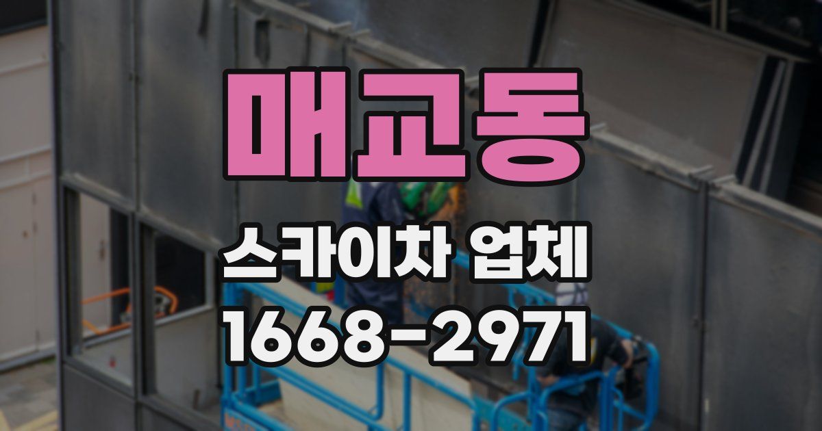 매교동 스카이차 업체