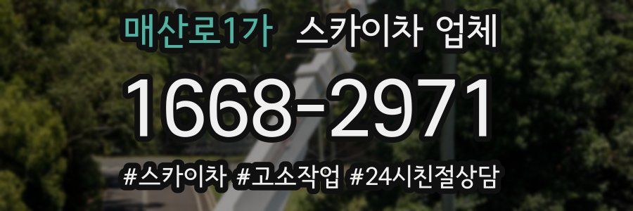 매산로1가 스카이차 업체