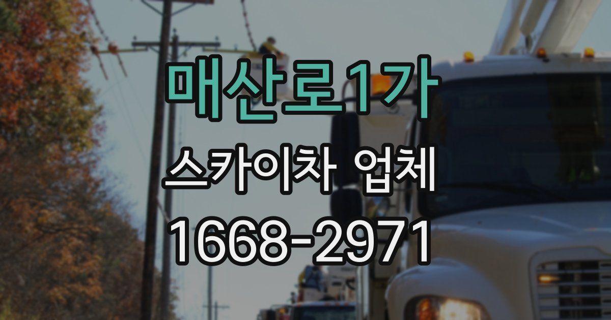 매산로1가 스카이차 업체