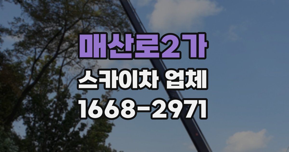 매산로2가 스카이차 업체