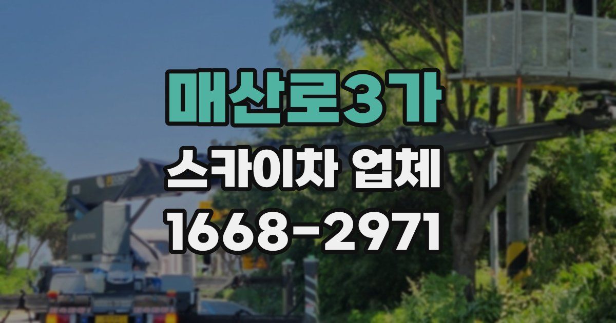 매산로3가 스카이차 업체